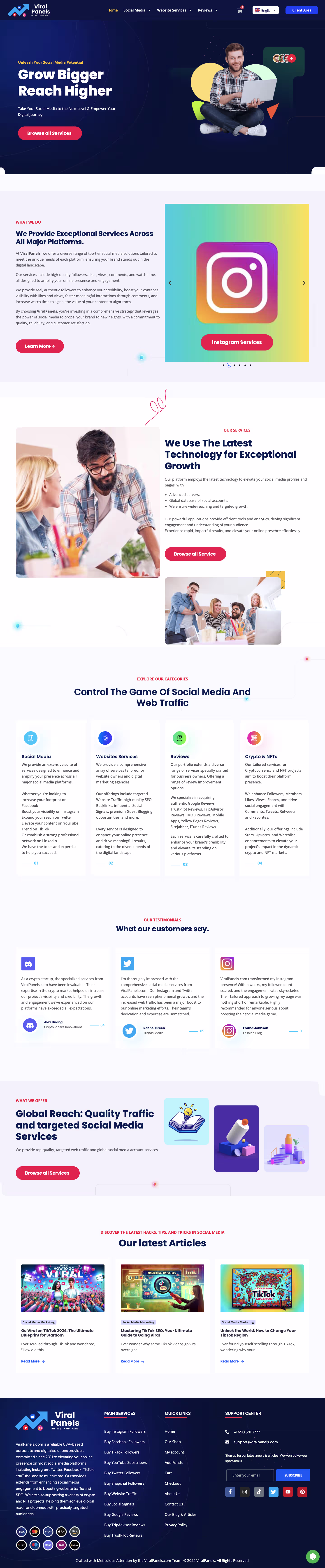 Full-length ViralPanels homepage screenshot shown inside an interactive screen preview.